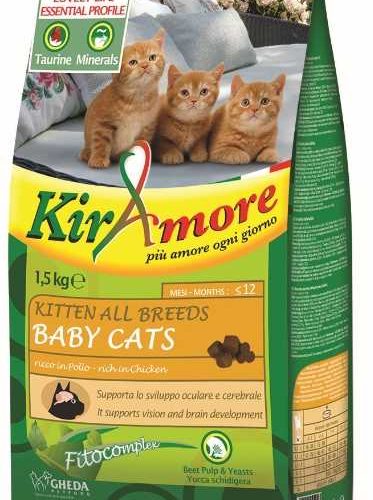8001541004047-gheda-kiramore-kitten-all-breeds-baby-cats-1-5-kg