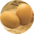 8001541004627-dog-n-dog-wild-natural-instinct-wild-eggs